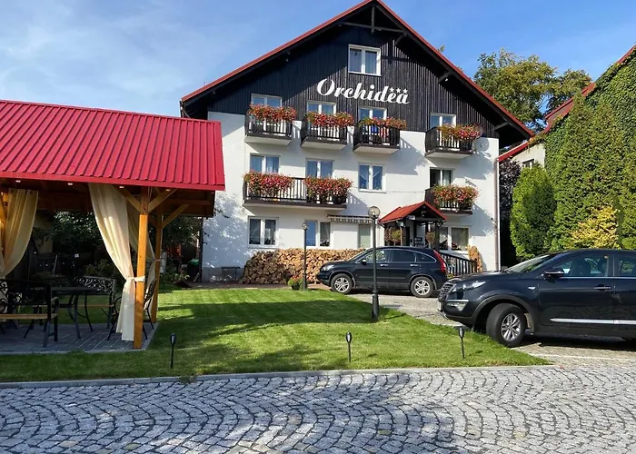 Orchidea