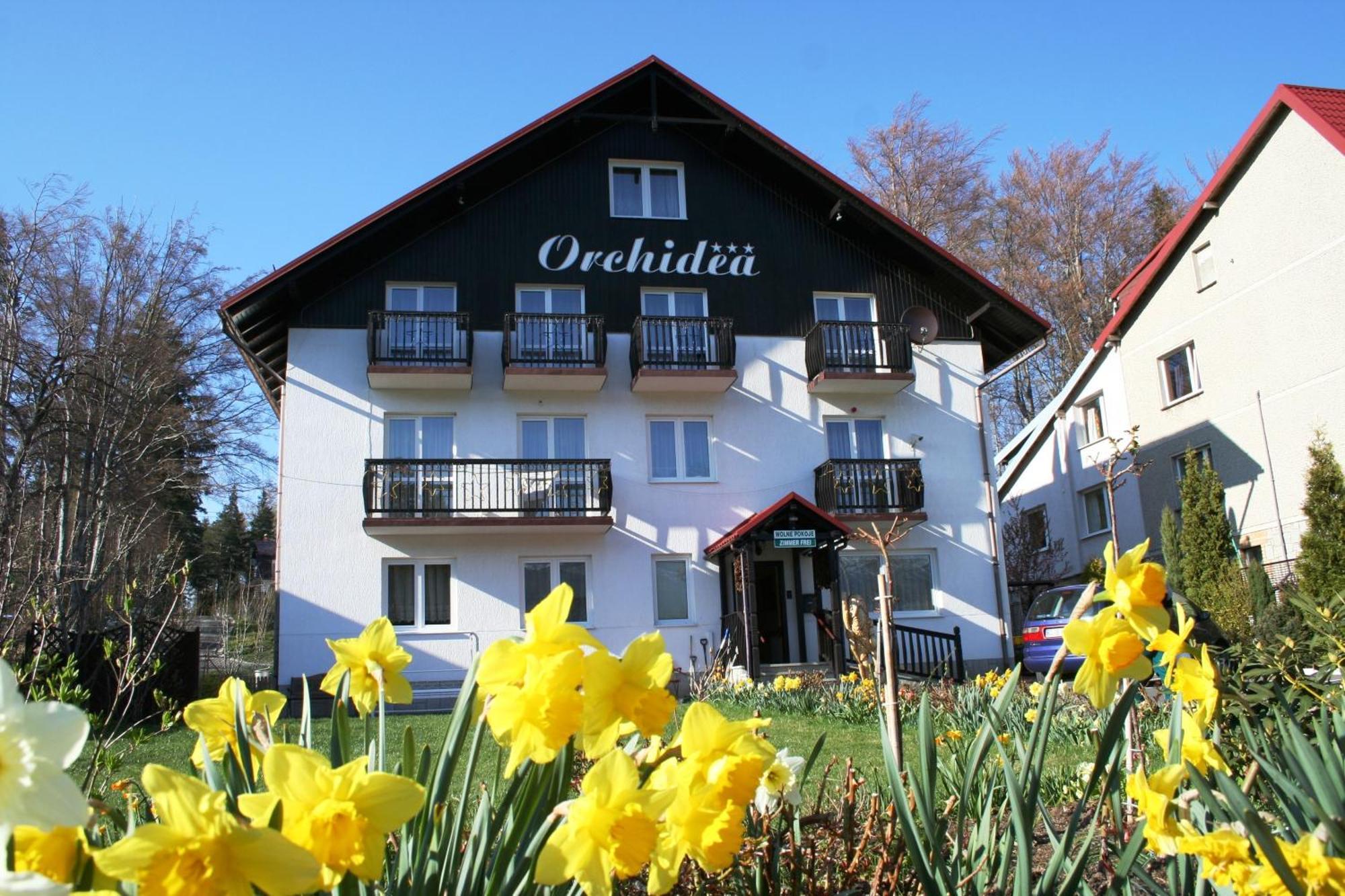 Orchidea Szklarska Poręba